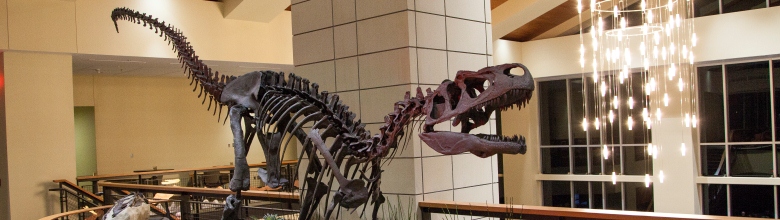 Caesar the Allosaurus
